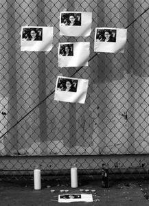 新闻诡异爆料最新视频  第1张